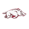 Arkansas Razorbacks