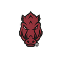 Arkansas Razorbacks
